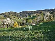 Sicht auf den Hof Hausmatt und den Bürtengraben