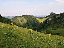 Sicht auf Ämmenegg und Geissberg von der Hundsmatt aus 