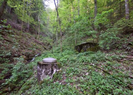Die Bürtengrabenquellen Foto: Thomas Mosimann