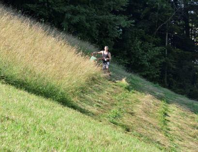 Mit dem Motormäher am Steilhang auf dem Ulmet Foto: Thomas Mosimann