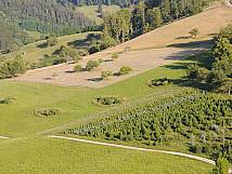 Vernetzungsinseln bim Goldseilerenprojekt