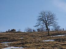 Vogelberg: Einer der beliebten Aussichtspunkte 