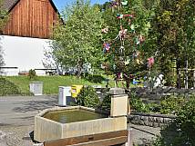 Maibaum 2018 beim Dorfplatzbrunnen