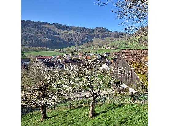 Blick auf Lauwil von der Egg aus