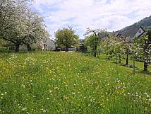 Bündtenmatt Ostteil